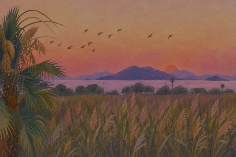 Reed bed, birds and the sun on the horizon